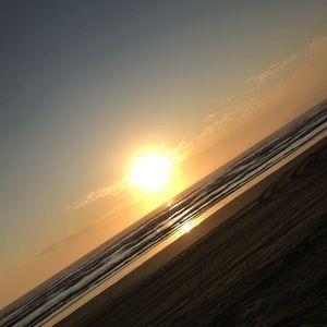 Meet your Posher, Collin